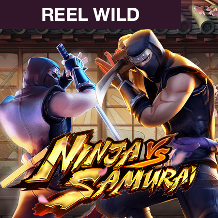 Ninja vs Samurai